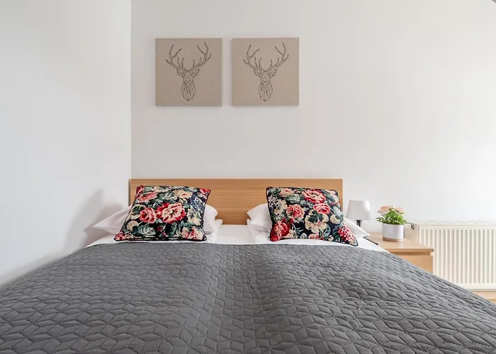 아파트 럭스 아파트먼티 스타라 폴라나