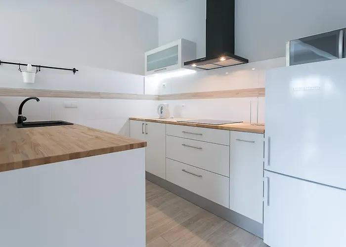 아파트 럭스 아파트먼티 스타라 폴라나 *